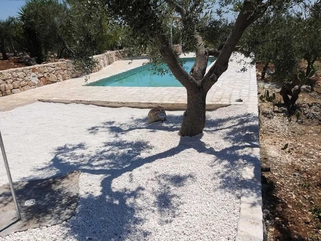 Casa Giuliveto - Charmantes Ferienhaus Mit Privatpool In Olivenhain Ostuni Extérieur photo