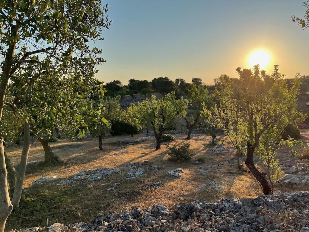 Casa Giuliveto - Charmantes Ferienhaus Mit Privatpool In Olivenhain Ostuni Extérieur photo