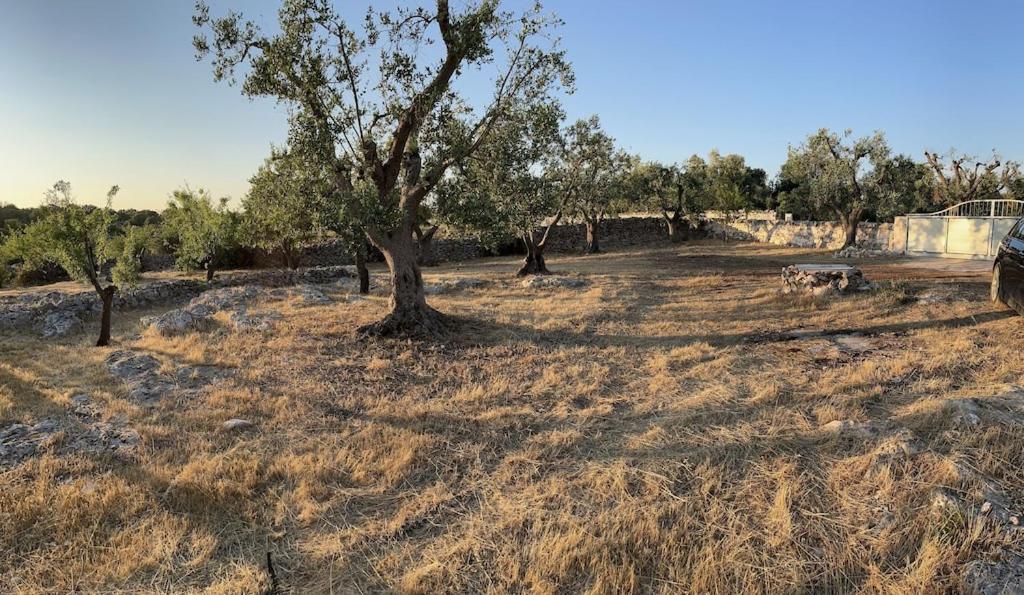 Casa Giuliveto - Charmantes Ferienhaus Mit Privatpool In Olivenhain Ostuni Extérieur photo