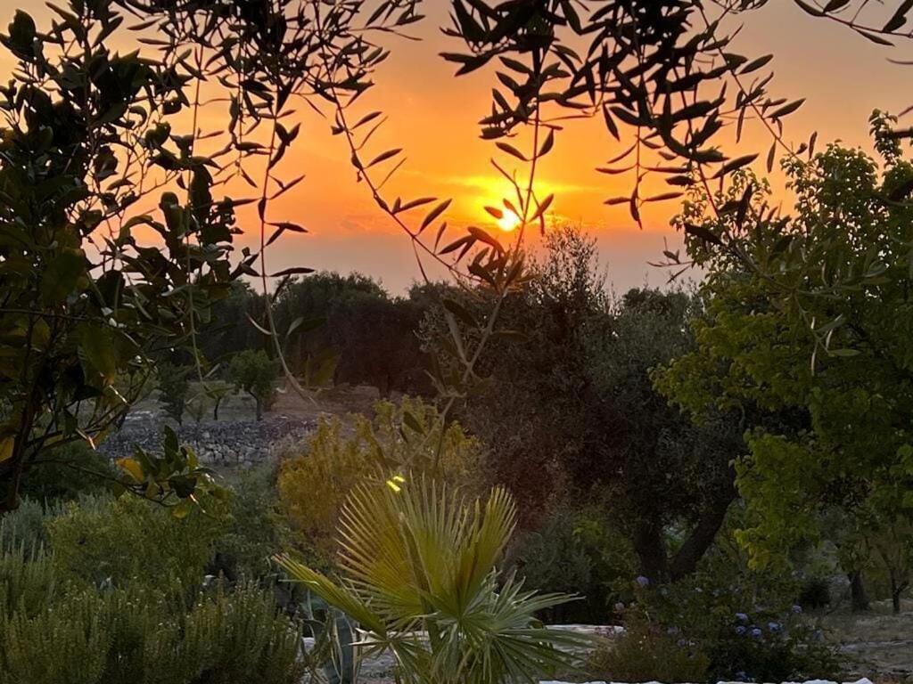 Casa Giuliveto - Charmantes Ferienhaus Mit Privatpool In Olivenhain Ostuni Extérieur photo
